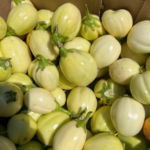 Aubergine africaine fraîche